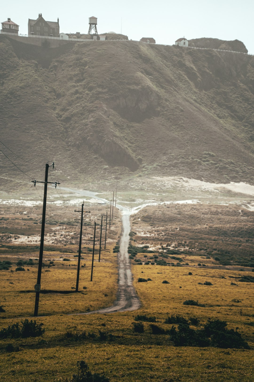 Orchard Ribbon Field Team in Action